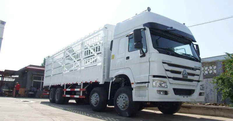 Camión de carga 6x4 Howo-7