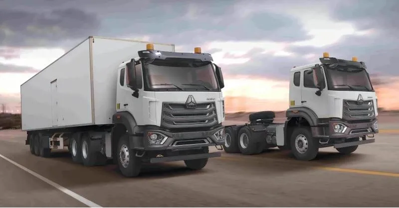 Cargo de carga 6x4 Howo-NX Hohan