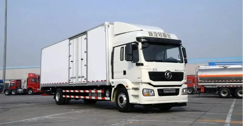 Cargo Truck 4x2 Shacman H3000